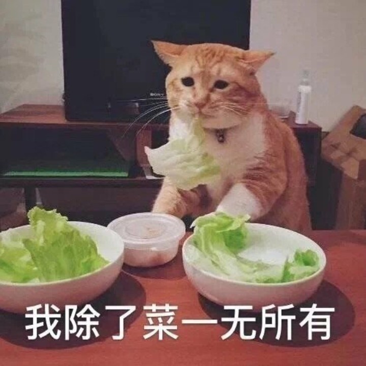 是真猪不是珍珠