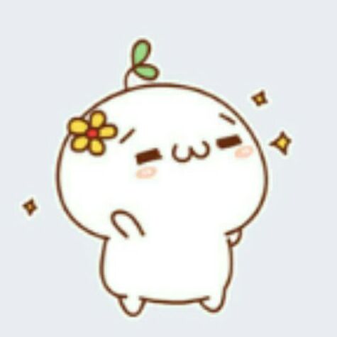 我家的小灰灰爱吃胡萝卜