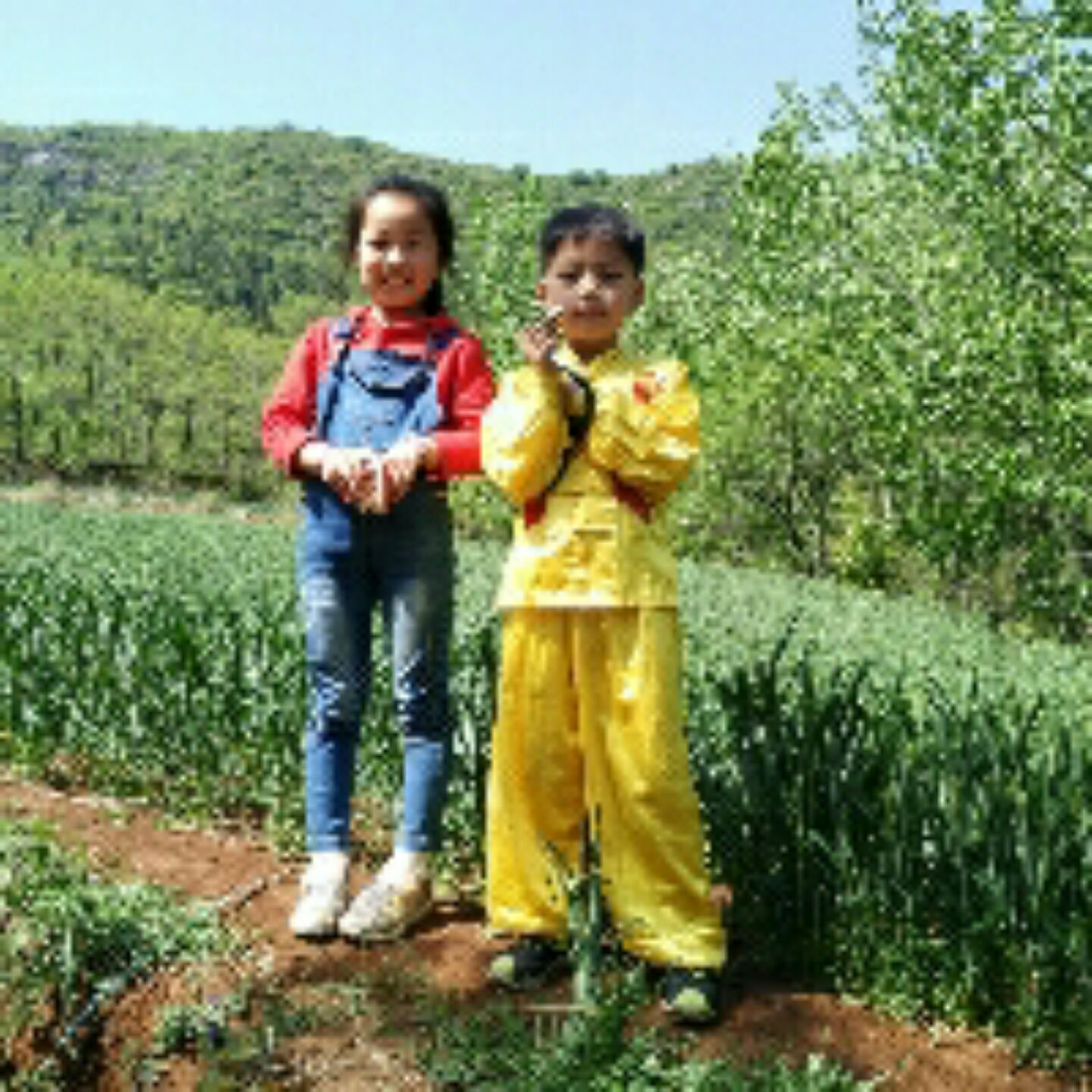 昵称被人抢先了