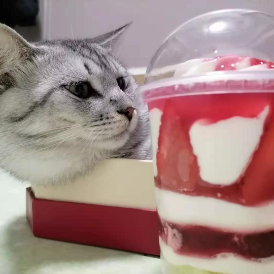 爱吃一品鱼方的悠悠球du