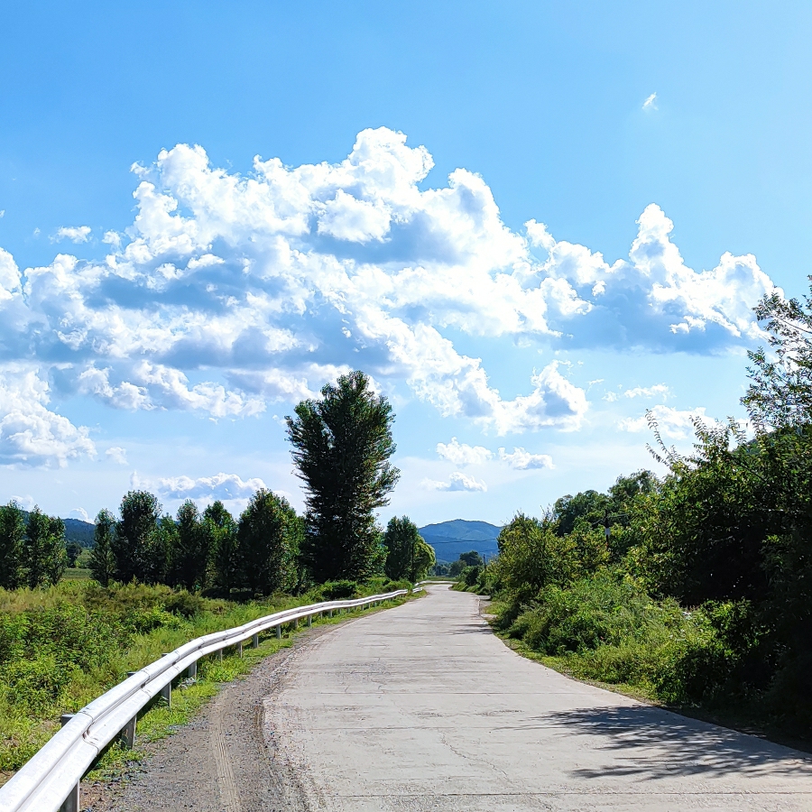 孤独的人总会相遇
