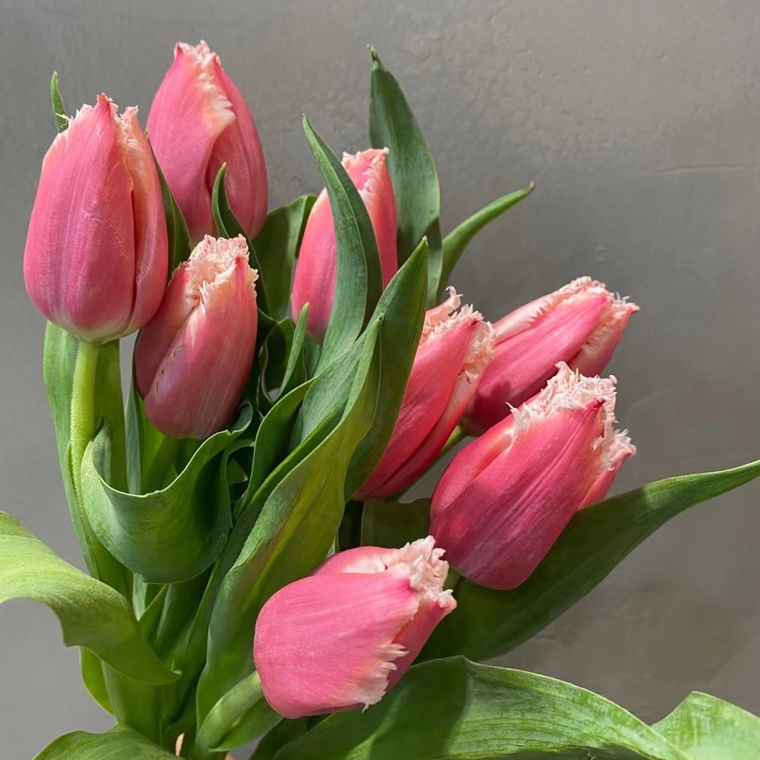 用户浅梦墨汐456