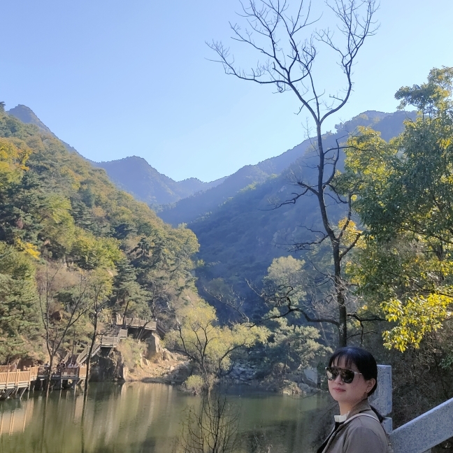 爱笑的向日葵1996a