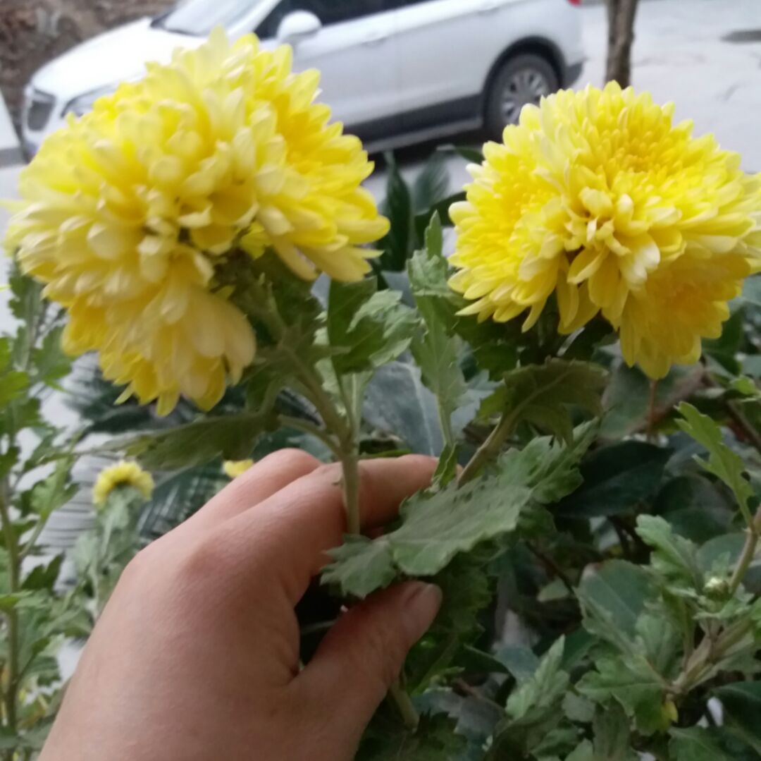 L自己读懂自己A