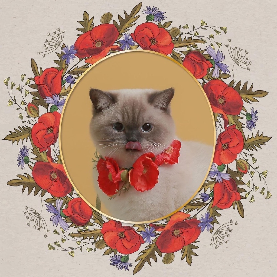 大cici次次超有爱