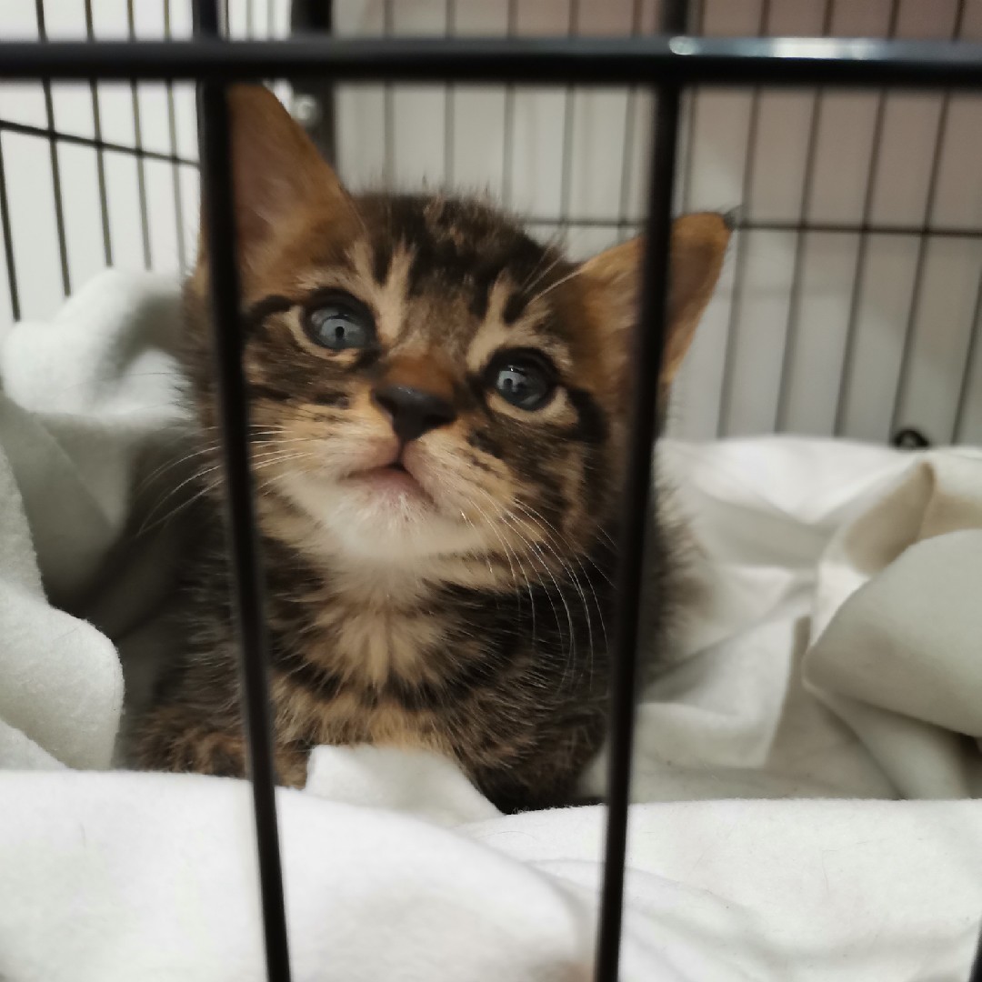 取个昵称都这么难~