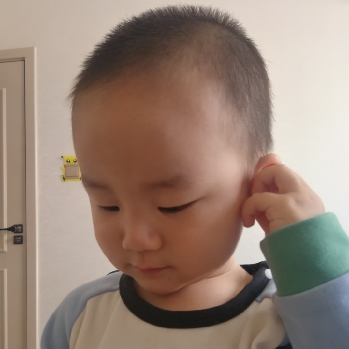 墨蓝的中榕健刁