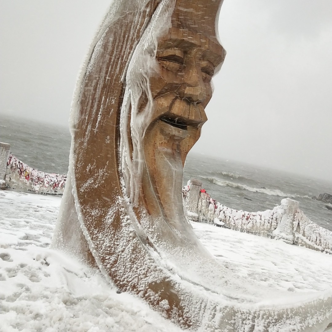 红彤彤的不丹杜鹃q大