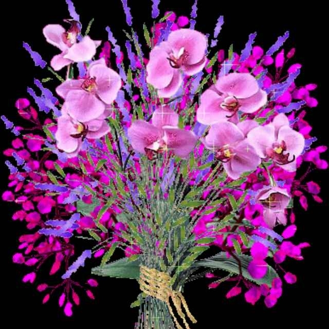 买点啥，我也不知道。