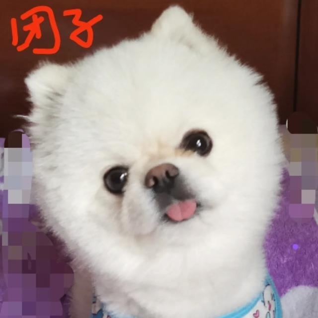 健康就好('-'三'-')