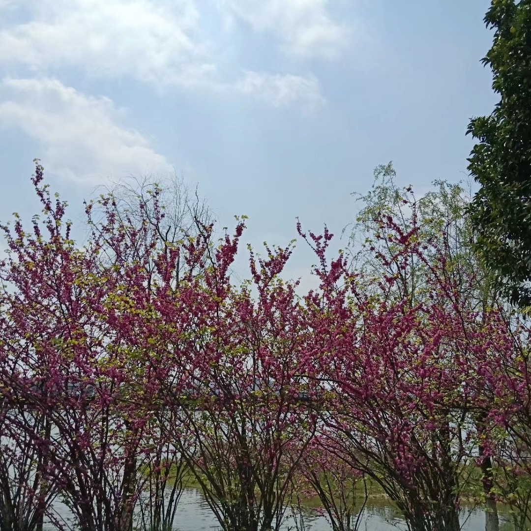 爱我所爱有点美