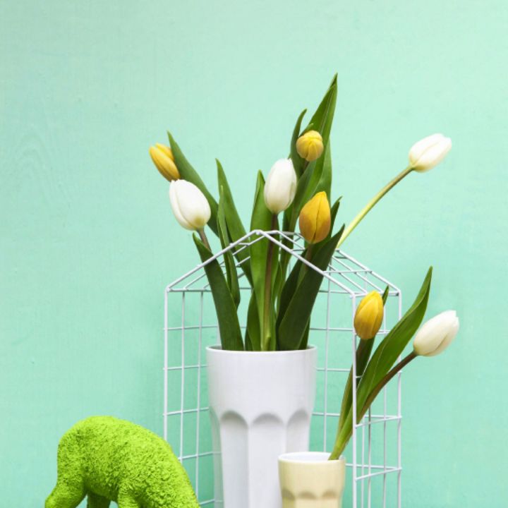 星空下的眼泪2016