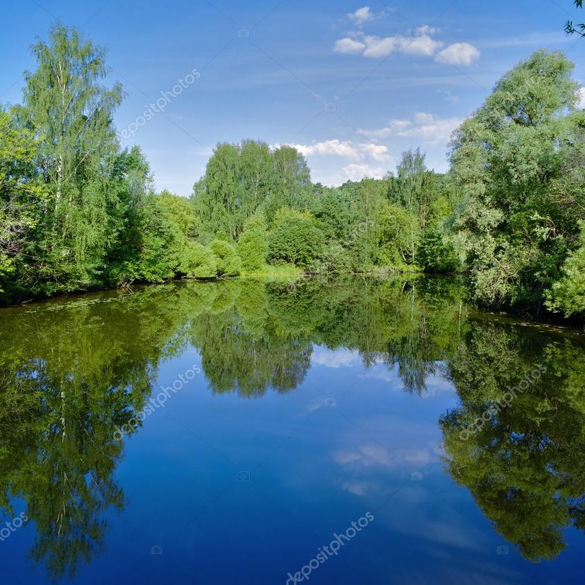 紫水晶色的丽春