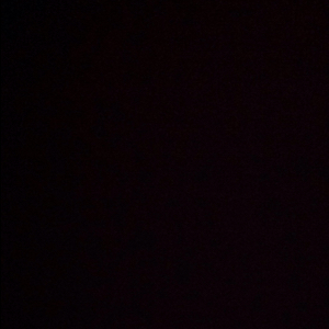 浴火凤凰爱漂亮