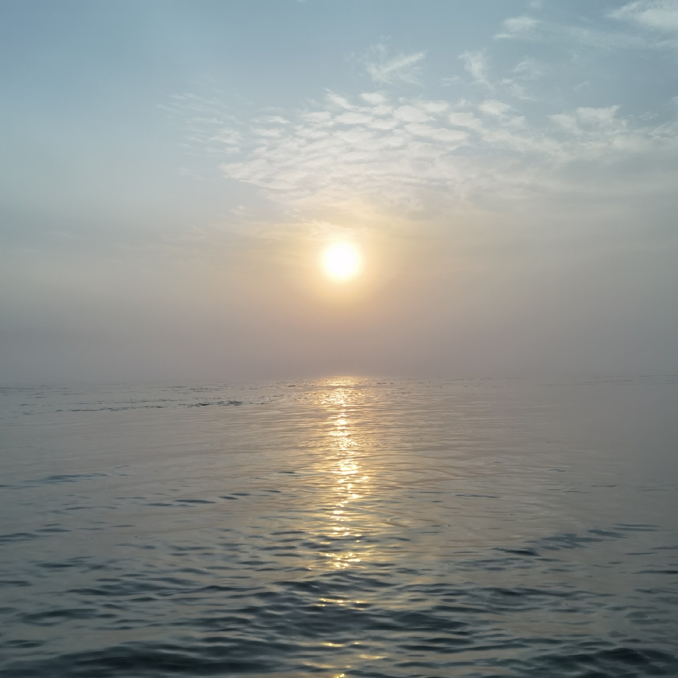 爱吃小炒泡馍的小新