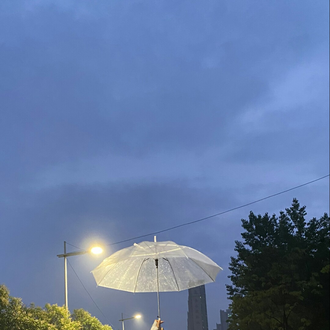 猕猴桃爱吃西蓝花