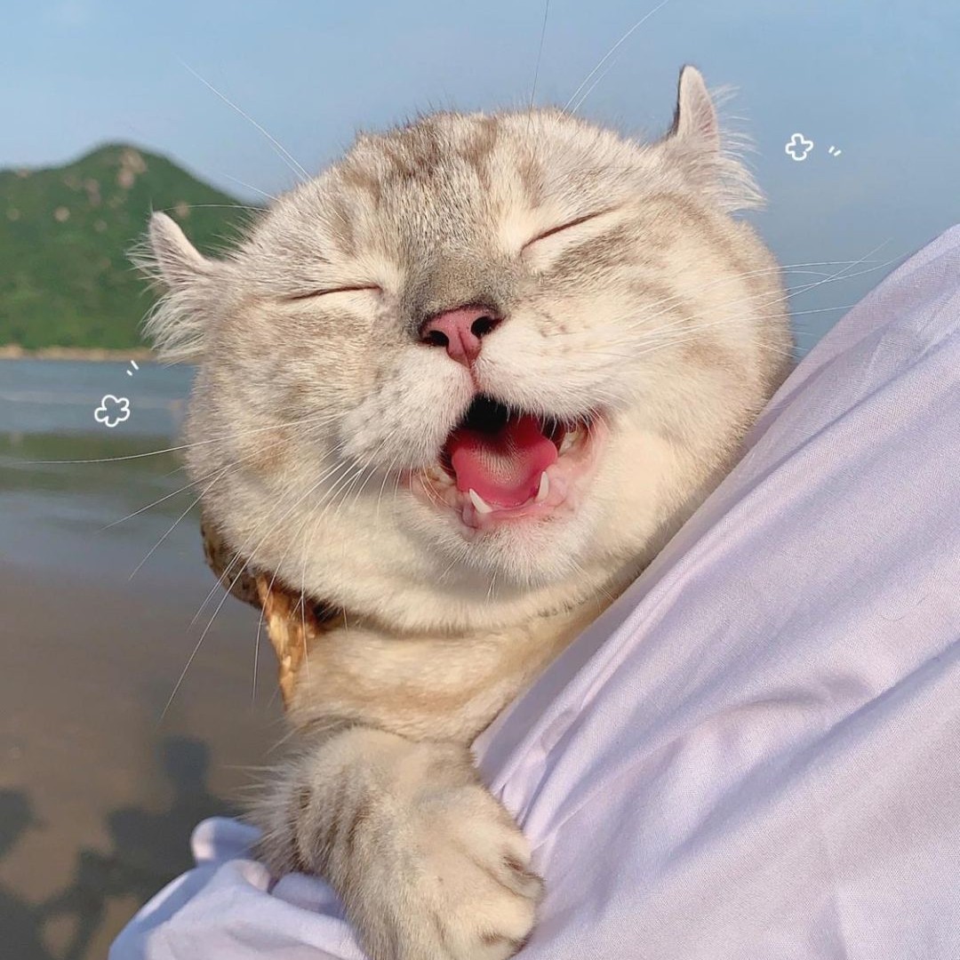 一天不买浑身难受R