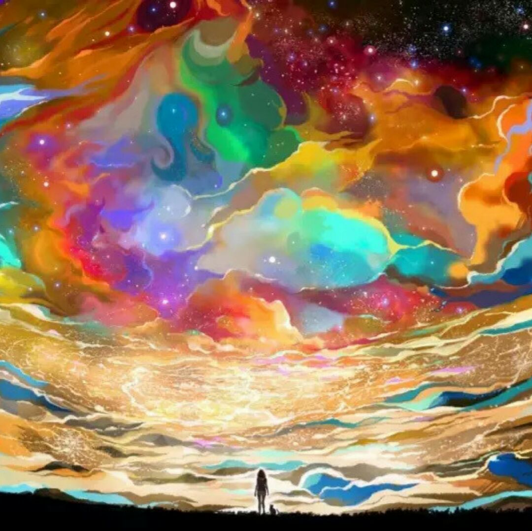 出门捡到一只猫