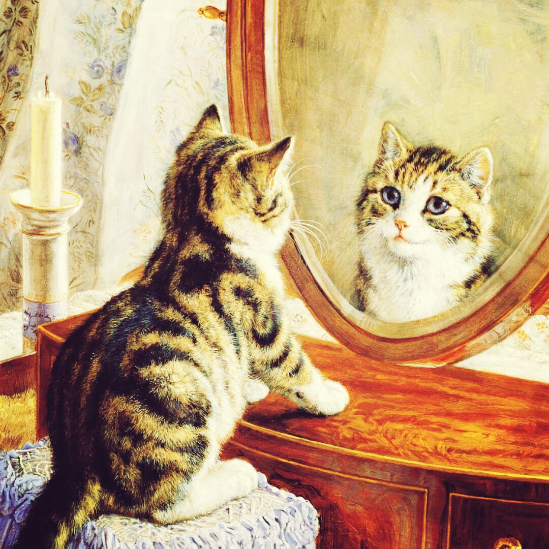 爱吃三丝炒蛋的方便面c丶