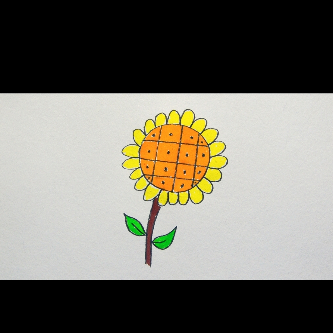 爱吃拌萝卜丝的芋圆