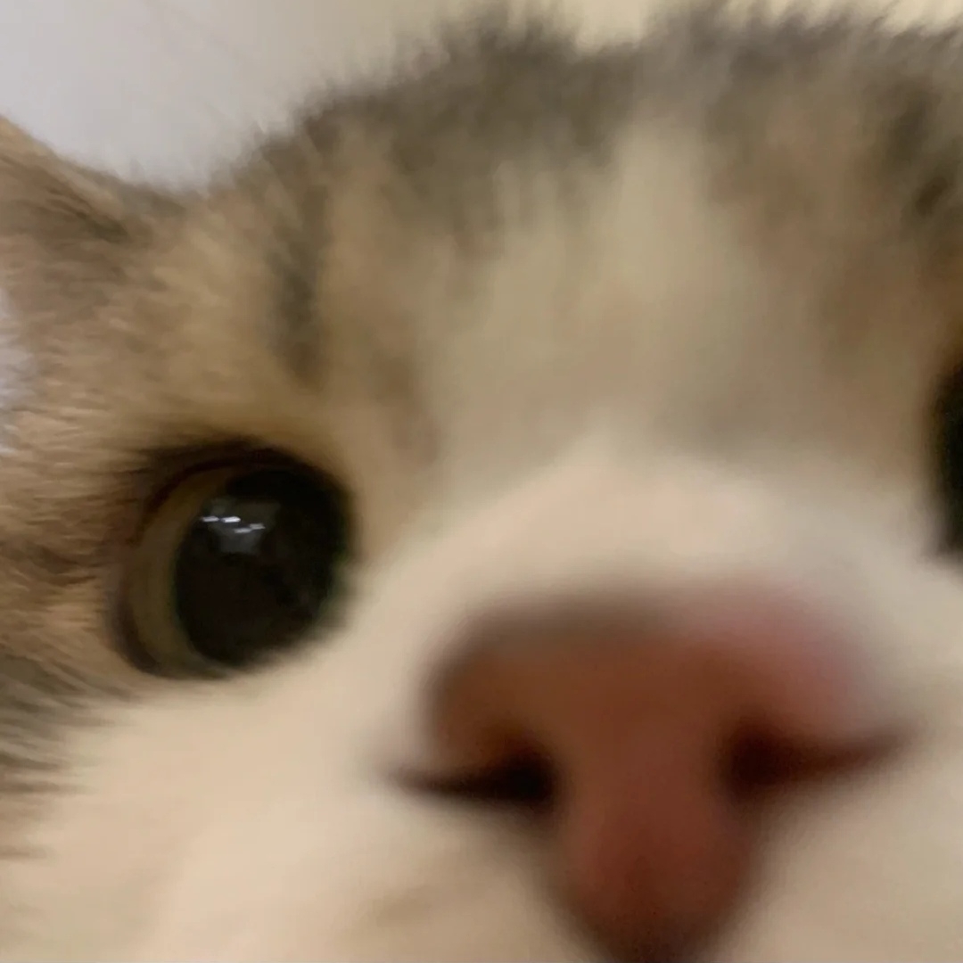 想带上你私奔是真爱和自由