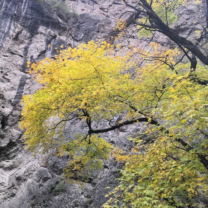 我是一个小兔兔_4206