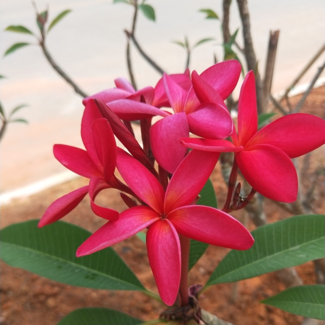 好心情遇见对的人