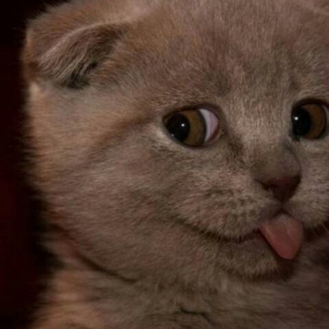 一个有仙气儿的汉子