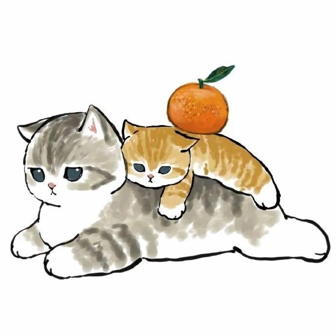 云吸猫模式开启