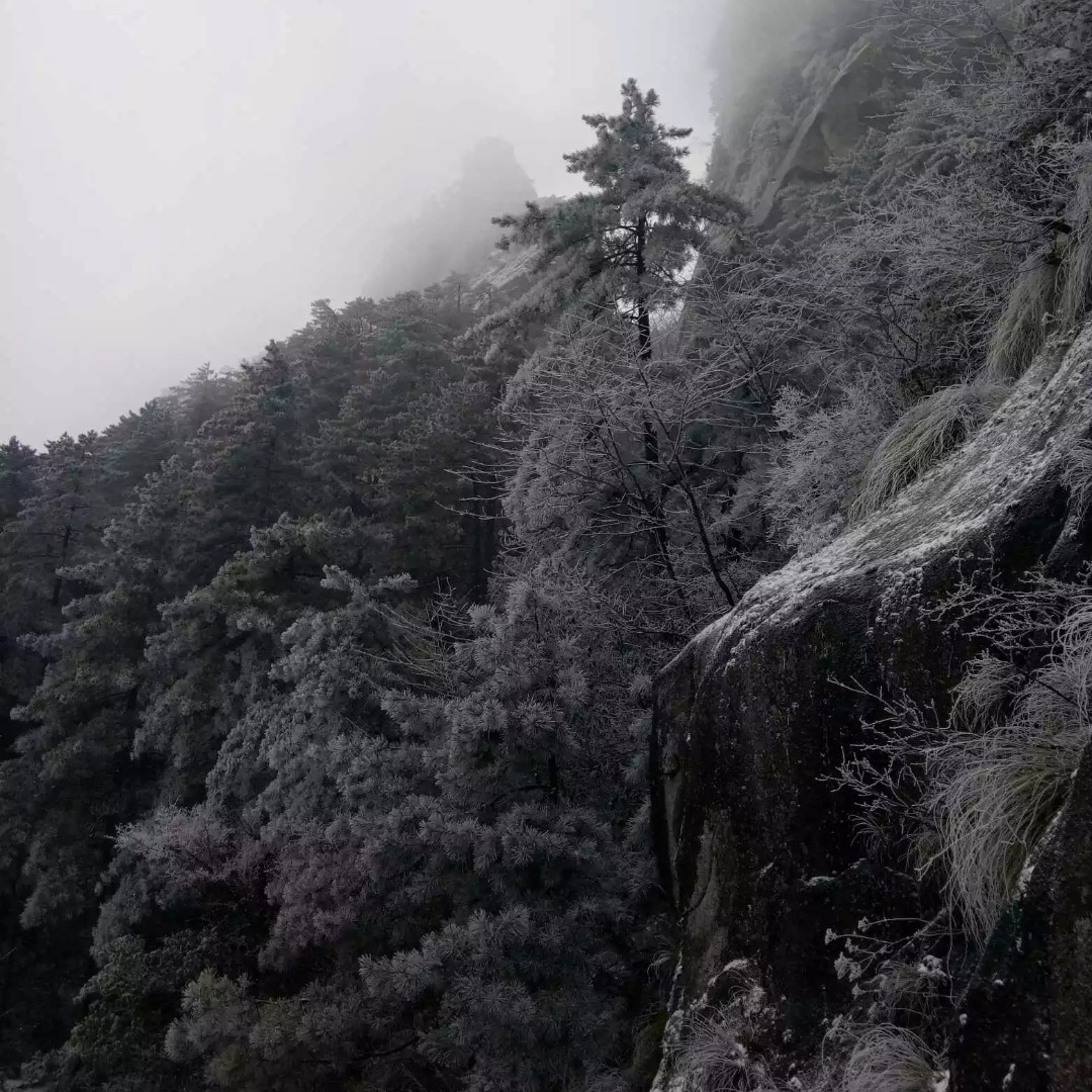 爱吃彩虹肉丝的飞行员