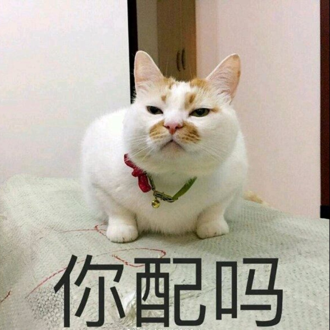 交通学院彭于晏