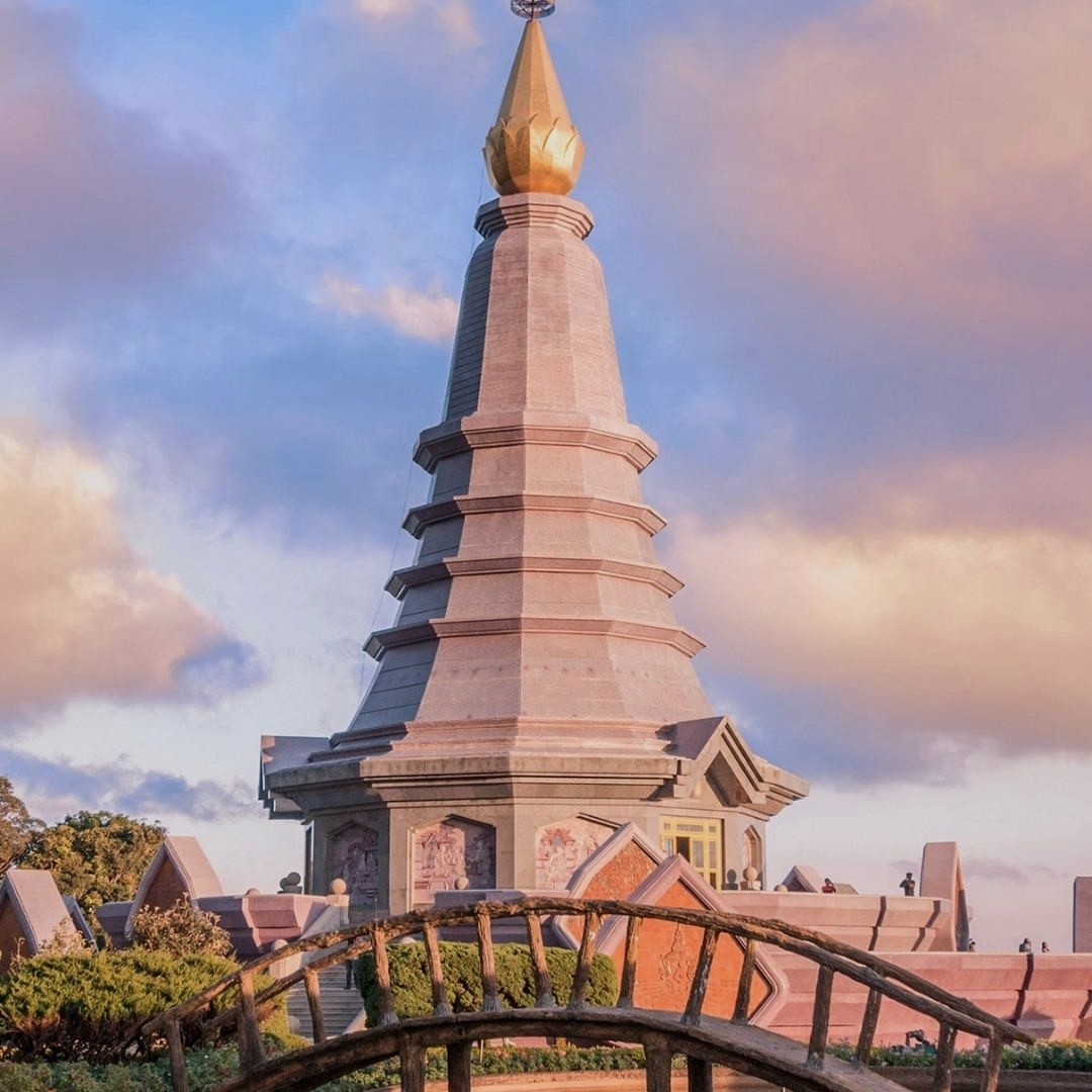 淡绿的柳穿鱼属