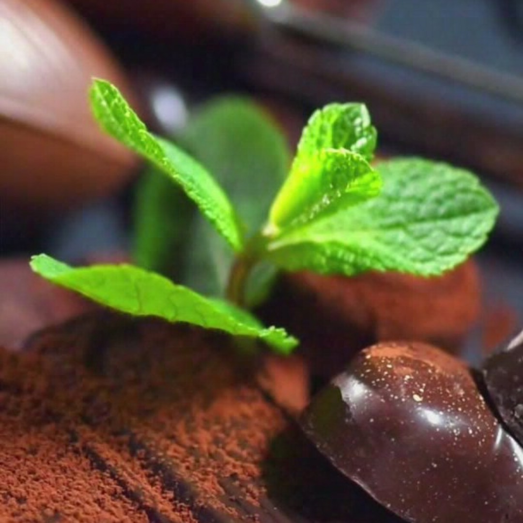 爱吃扁豆排骨的少爷