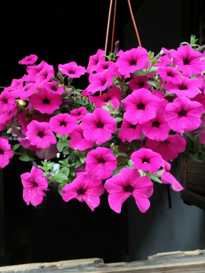 做自己想做的！加油?