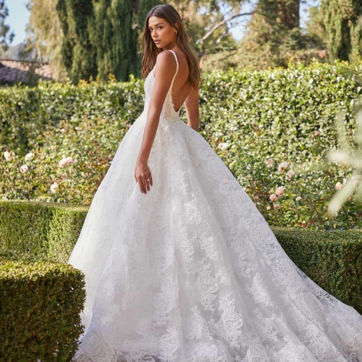 爱吃角瓜虾仁的日光