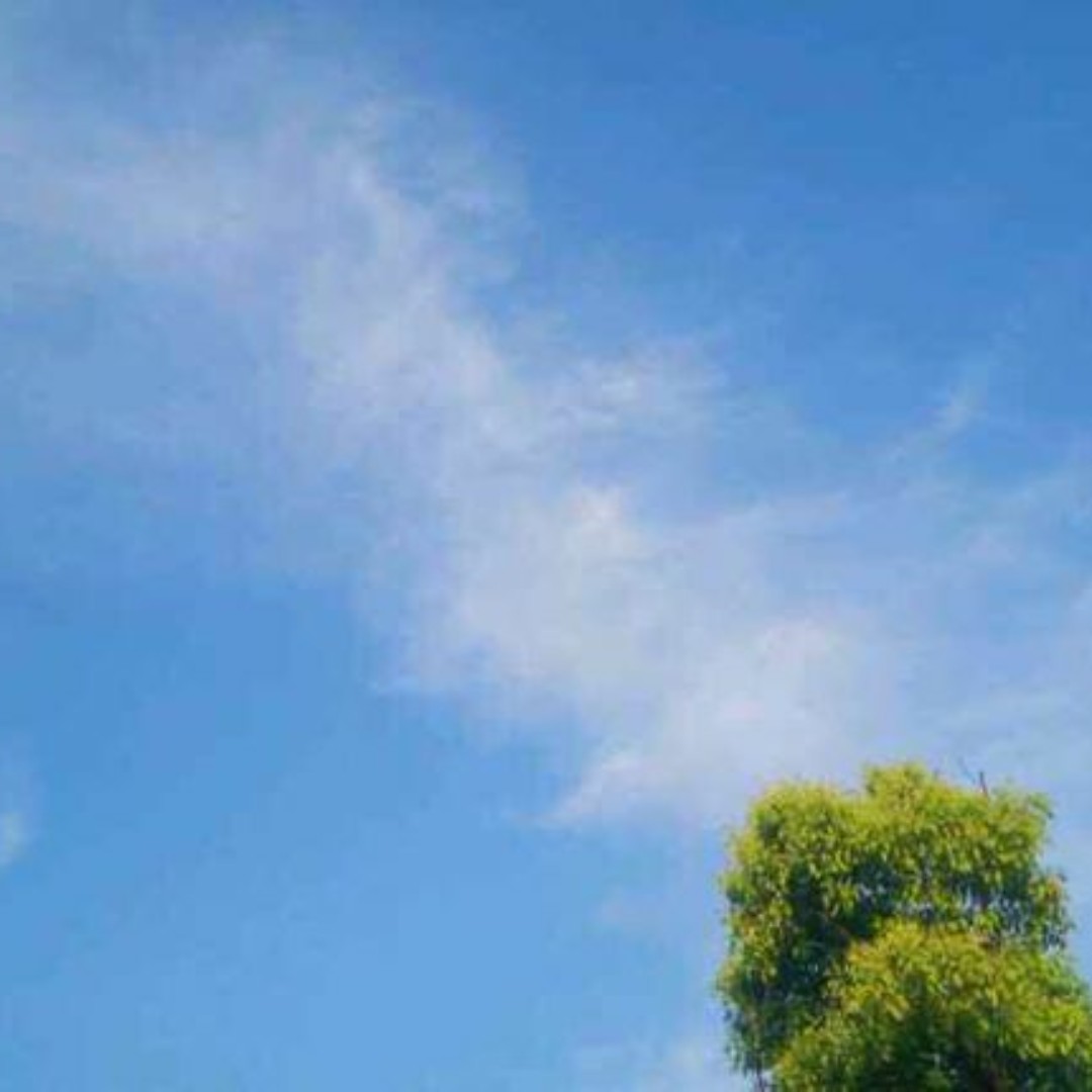 皮抽抽的灰个泡