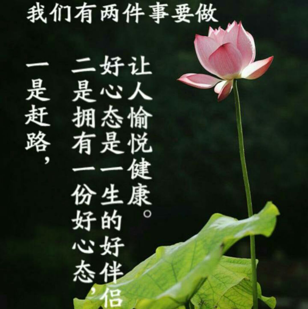 好心态决定一生603号