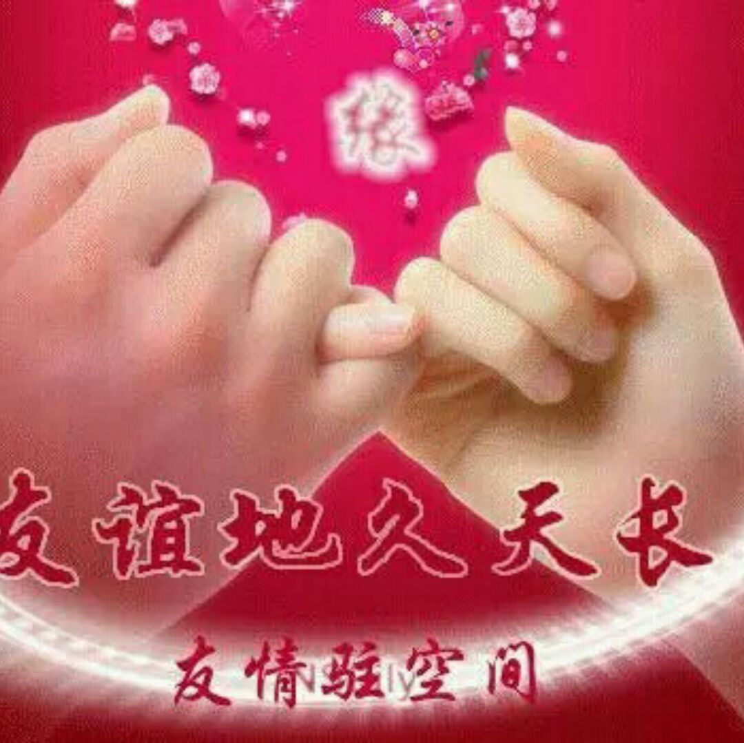 爱吃炒蚬仔肉的可爱鸭87