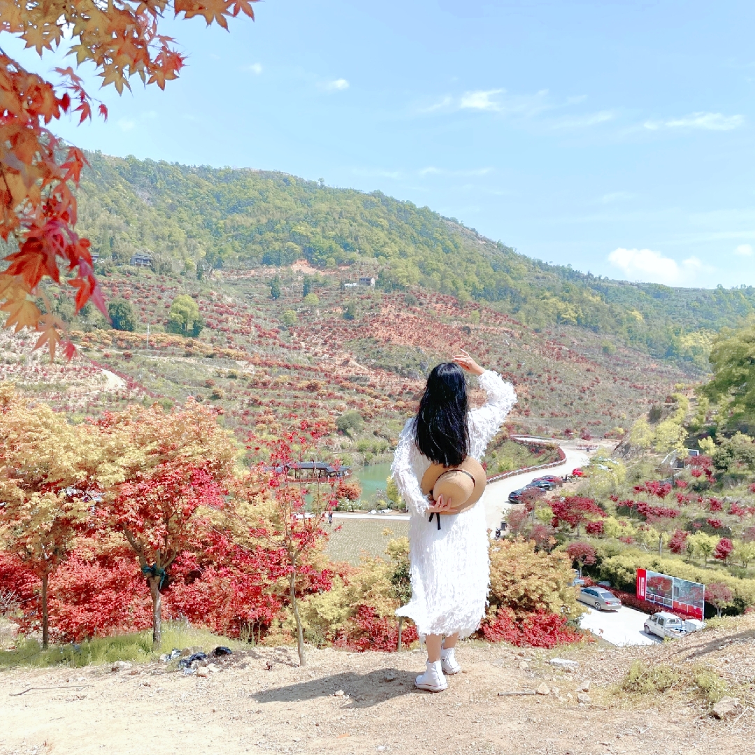 在最美的时光遇见你……