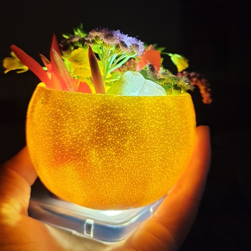 寒冬飞雪好像运来