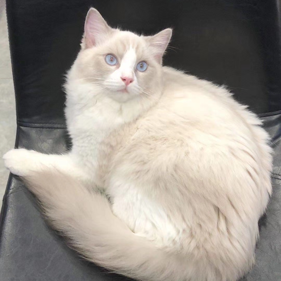 幸福欢乐一家人