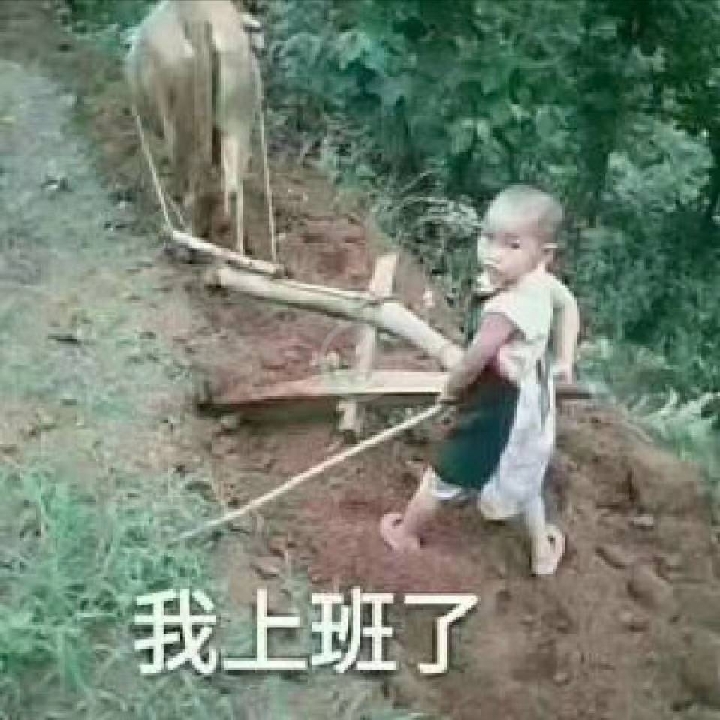 每天都要努力工作