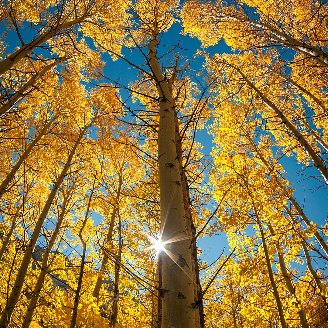 永恒的回忆不忘初心