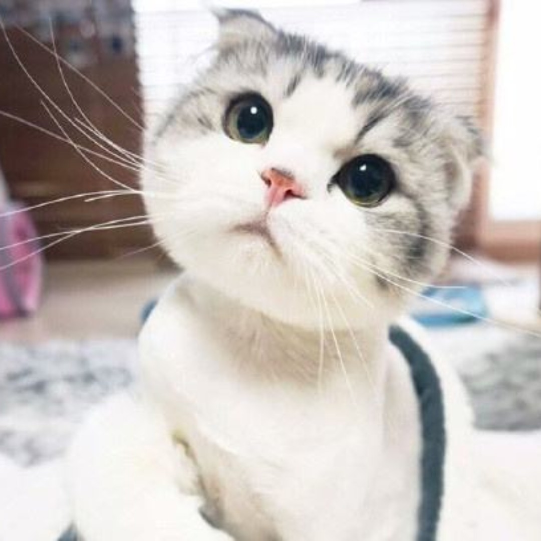 响当当的我^(00)^