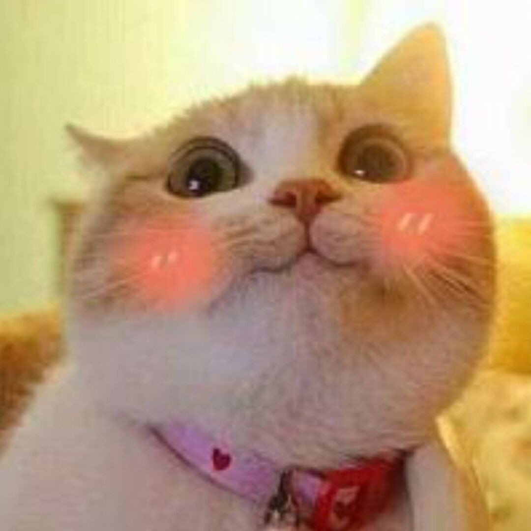 落花归去马蹄香