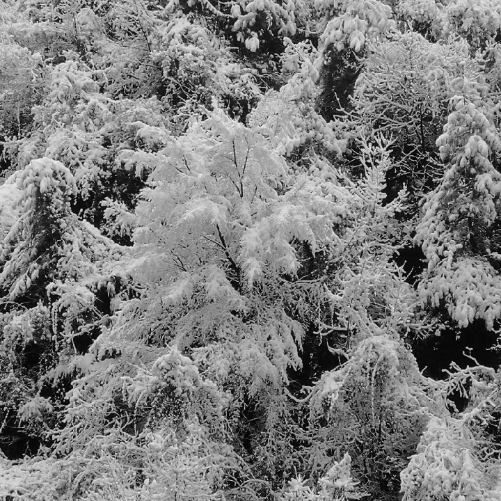 爱打扮(www.idaban.cn)，当雪花爱上吃火锅