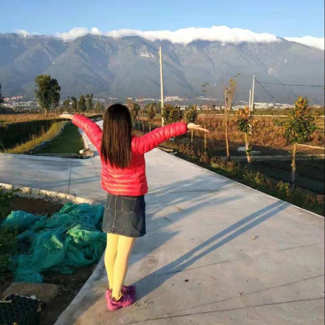 淡然优雅的星星