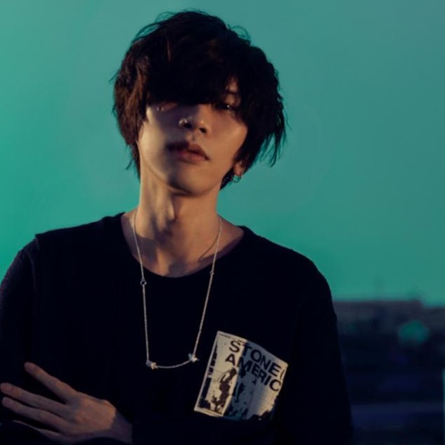 黑色的微凹冬青