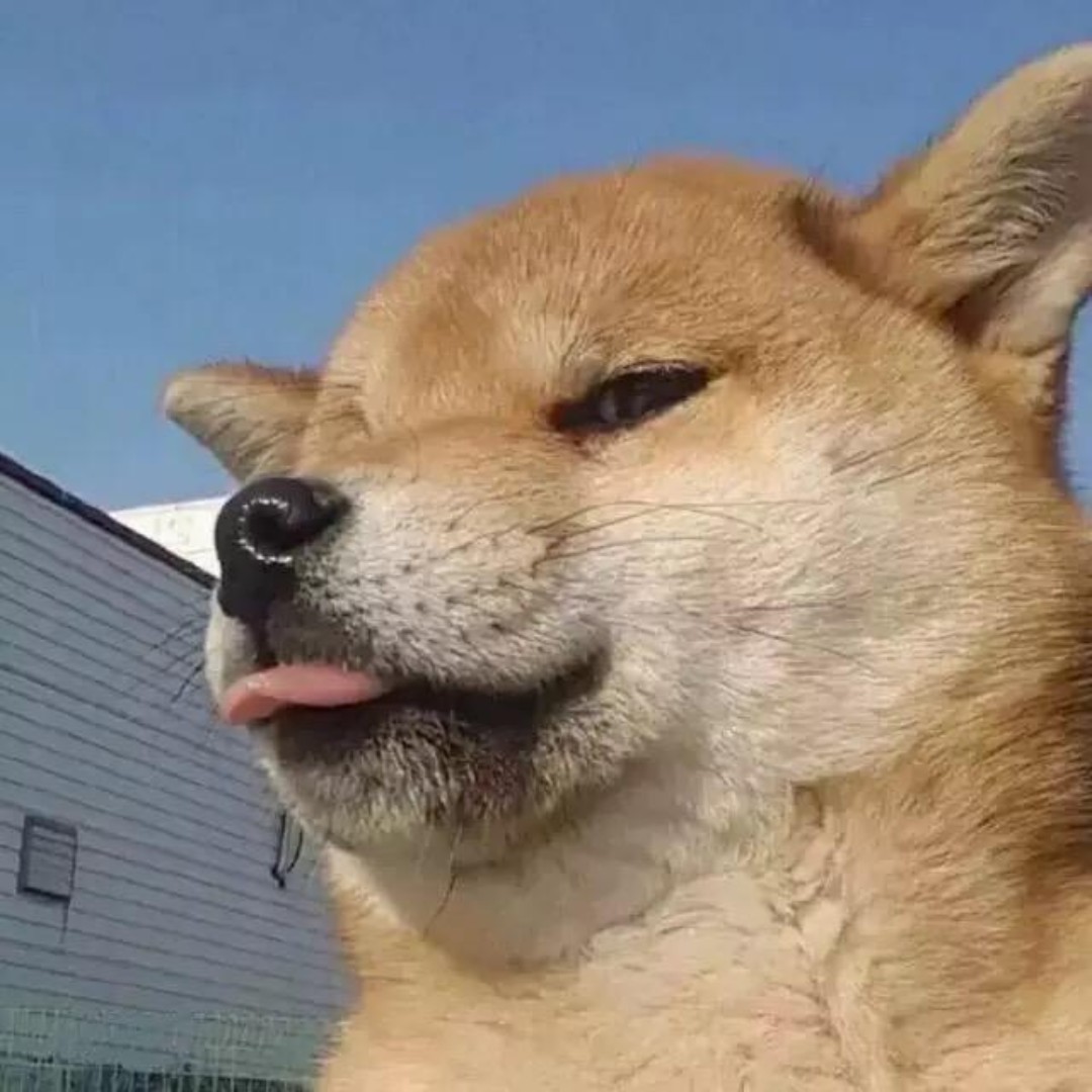 刘德华的接班人