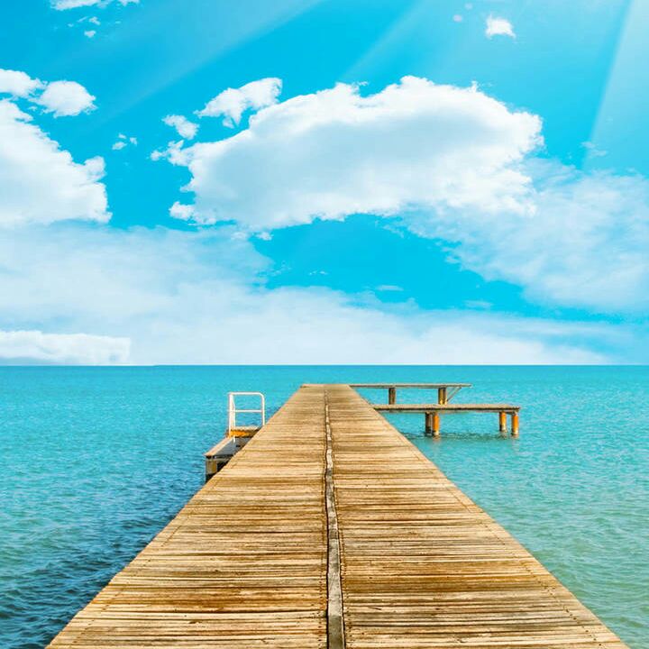 爱吃超软蛋糕的创意人